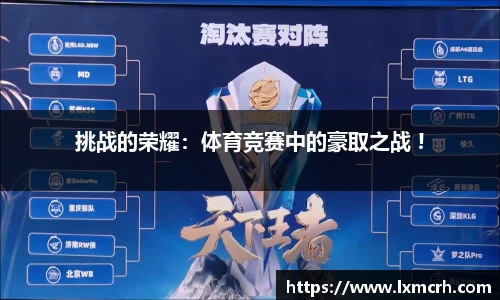 挑战的荣耀：体育竞赛中的豪取之战 !